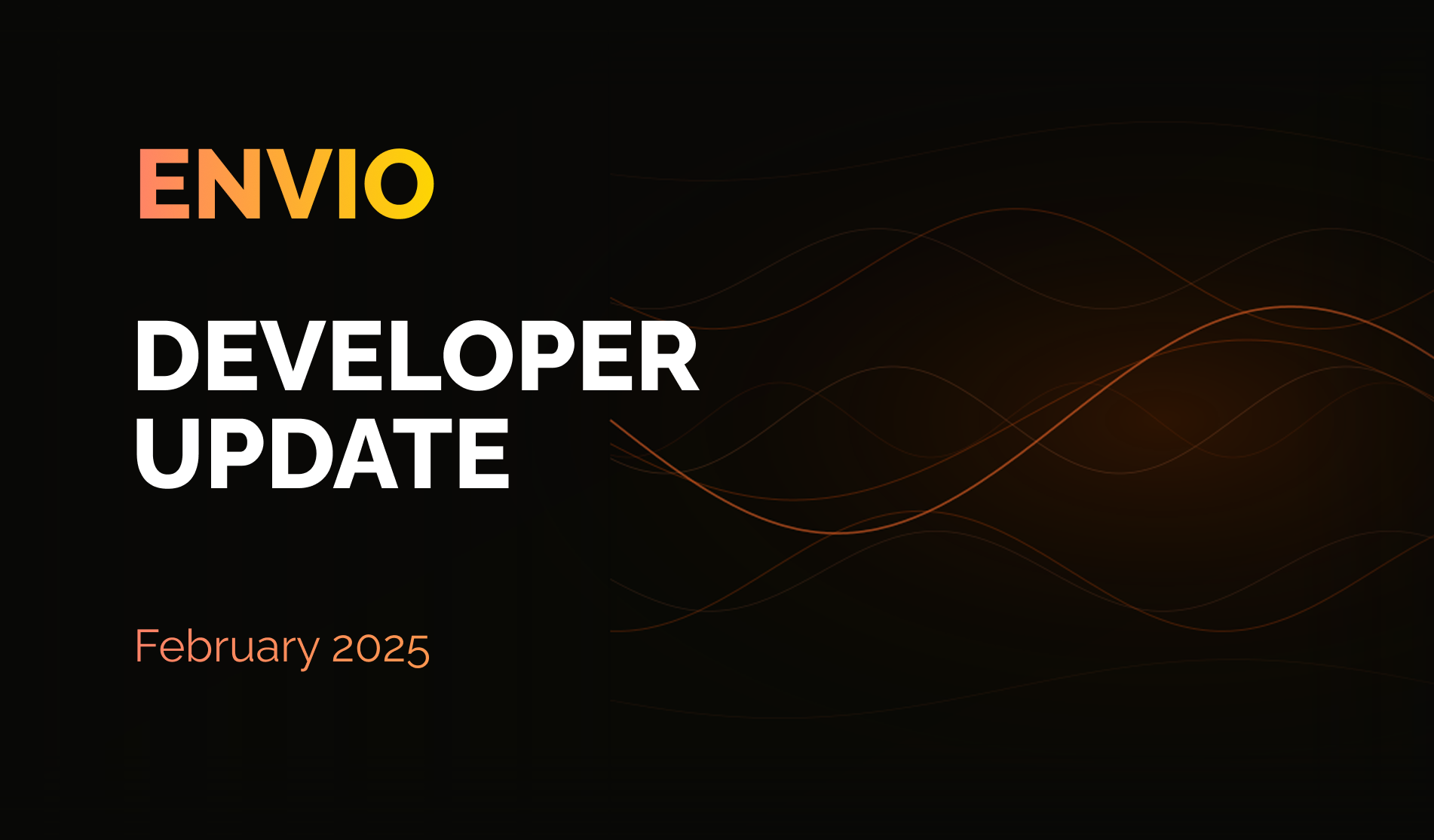 Envio Developer Update February 2025