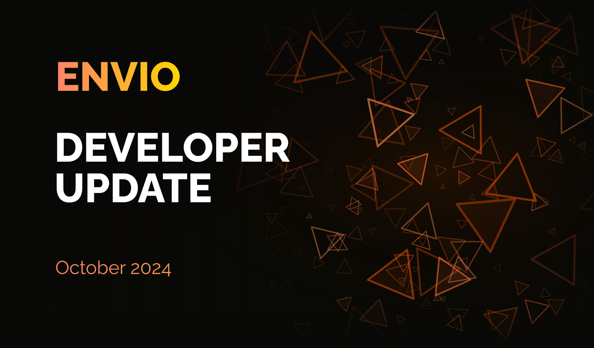 Envio Developer Update October 2024
